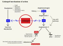 Image result for ACE Inhibitor