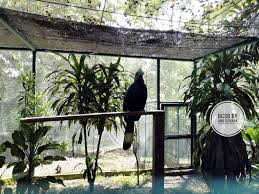 Anak dibawah 2 tahun, free of charge. Jalan Jalan Di Taman Burung Kuala Lumpur Kl Bird Park Ana Suhana