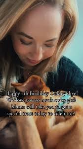 Redbone Coonhound Golden Retriever Mix