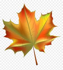 Dry Leaves Falling Png Transparent Png Vhv Make cute poster for the comfort of your apartment. dry leaves falling png transparent png