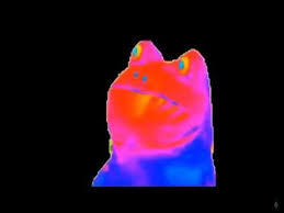 Rainbow Frog Meme Youtube Frog Meme Frog Memes