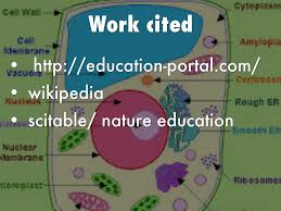 Check spelling or type a new query. Plant Cell By Scillian890