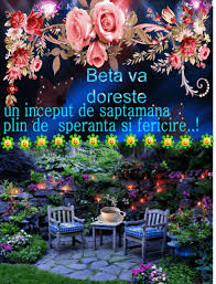 Un pas in urma serafimilor torrent; Salut Lume Pg Ii Viviana S Blog