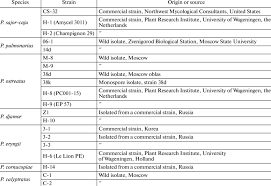 list of oyster mushroom species and strains used download