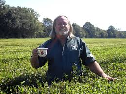 Sri lanka (formerly called ceylon) has a climate and varied elevation that allows for the production of both camellia sinensis var. Yes America Has A Working Tea Plantation We Visited It The Salt Npr