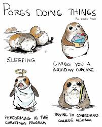 Porgs Are So Cute And When I Saw This I Laughed So Hard Starwarsmemes Star Wars Humor Star Wars Memes Star Wars Fandom