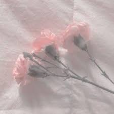 Picture dimension should be 300x300 picture file size must be at least 20kb but not more than 100kb. Pin By ð'€ð´ð'Œð´ On Colors Goddess Aesthetic Pink Aesthetic Aesthetic Pictures