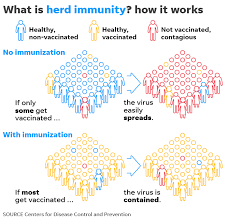 3 Charts Show Vaccines Triumph Over Preventable Diseases