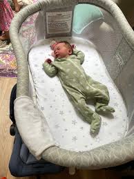 Alex Potash (@alexpotash)