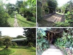 Lovely japanese garden , though quite small. Bonsai Garden Iskomunidad