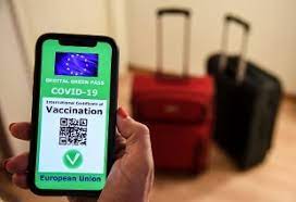 Ecco come si tornerà a viaggiare. Green Pass E Ufficiale Al Via Dal Primo Luglio Rai News