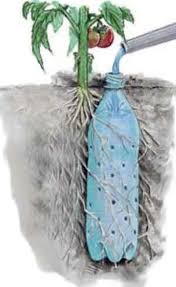 Even though this makes watering so much easier, i still do a happy dance when it rains. 17 Clever Vegetable Garden Hacks Plants Lawn And Garden Water Plants