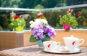 A Hotel Com Hotel Nemira Hotel SlÄƒnic Moldova Romania Price Reviews Booking Contact