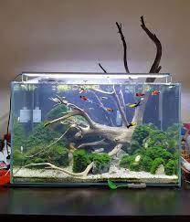 45 Stunning Aquarium Design Ideas For Indoor Decorations Page 44 Of 45 Soopush Aquarium Design Aquarium Fish Tank