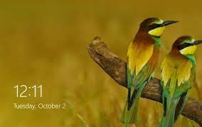 Overall, wallpaper studio 10 is a decent wallpaper app but its free version features some really annoying ads. Set Bing Picture As Lock Screen Background In Windows 8