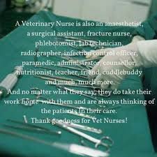  Being A Vet Tech Is Certainly A Labor Of Love Vet Tech Quotes Vet Tech Humor Vet Tech Student