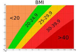 Der body mass index ist für ärzte und wissenschaftler eine wichtige größe. Adipositas Laut Bmi Rechner Und Bmi Tabelle Krank De