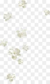 Black And White Flower Background Png Flowers Png Flowers Transparent Clipart Free Download Watercolour Flowers Wedding Invitation Watercol White Flower Png Flower Png Images Flower Backgrounds