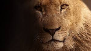 Check spelling or type a new query. August 8 Zodiac Ultimate Guide To Birthday Horoscope Zodiac