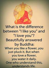 Beautiful Quote By Gautam Buddha What Is Love Buddhism Quote Quotable Quotes Buddhist Quotes