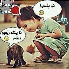 Ayakhalidsharif Funny Comments Funny Pictures Funny Jokes