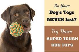 10 Best Toughest Durable Dog Toys For Heavy Chewers Durable Dog Toys Dog Toys Tough Dog Toys