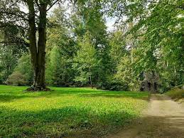 Bestellen sie jetzt beim marktführer! Verkaufe Gartenhaus Auf Pachtland In Ilmenau Muhlhausen Thuringen