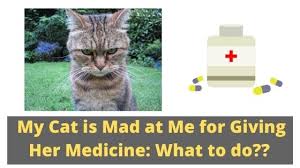 Also discover why you shouldn't give certain drugs to children, whether it's safe to combine medicines. Can I Give My Cat Children S Cold Medicine