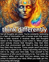 Jerri Morris (jerri_morris)