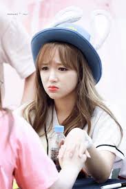Cheng Xiao Wjsn Jung K Idols My Idol