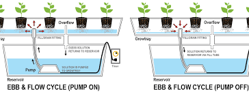 Basically, there are two phases of its different types of ebb and flow hydroponics. Ebb Flow Hydroponic Tray System Aquaponics System
