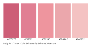 We did not find results for: Baby Pink Tones Color Scheme Pink Schemecolor Com