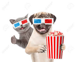 Kittens and puppies, kittens puppies, puppies and kittens. Funny Puppy And Kitten In The 3d Glasses With Popcorn Basket And Cola Showing Thumbs Up Isolated On White Background Stock Photo Picture And Royalty Free Image Image 76855893