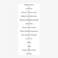 Flow Charts Png Download Transparent Flow Charts Png