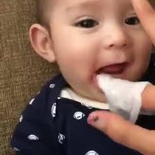 Dr Doris K Thorne DDS, PA