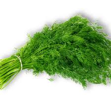 Dill Leaves (Sauf Saag)
