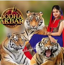 Pin By Rani Qureshi On Bollywood 2 Siriyal Photos Animals Photo Bollywood