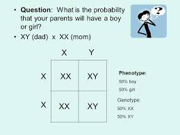 Human Heredity There Are Traits That Are Controlled By One