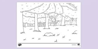 Enter now and choose from the following categories: Free Woods In Forest Colouring Sheet Teacher Made