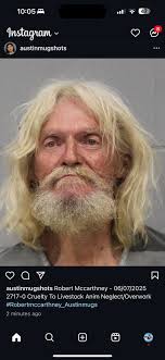 Saving Rusty: Demanding Justice for Dog Beaten with Metal Chain in Los  Angeles