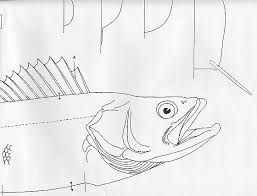 Free Wood Carving Fish Templates Wood Carving Equipment