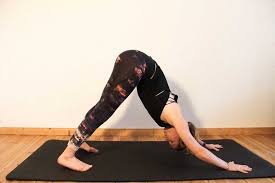 Downward facing dog in crossed ropes with your right leg step into the rope coming from the back to your left and with your left leg step into the rope coming from the back to your right. Downward Facing Dog How To Do It Correctly Ia Liesa