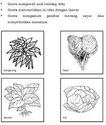 Kali ini obatrindu akan membagikan kepada anda beberapa gambar tentang sketsa hewan yang berada di sekitar kita untuk mempermudah bagi anak. 17 Mewarnai Gambar Sayuran Hijau Terbaik Lingkar Png