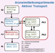 Stoffen als auch vor unkontrollierten änderungen der… … Ausgabe 2 2016 Gewebegangigkeit Der Antiretroviralen Therapie