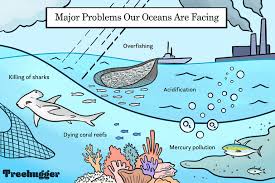 Remind children to place their name in the top right hand corner of their paper. The Ocean Has Issues 7 Biggest Problems Facing Our Seas And How To Fix Them