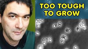 GMSS 2019 Interview with Dr. Christopher Finelli, UNCW