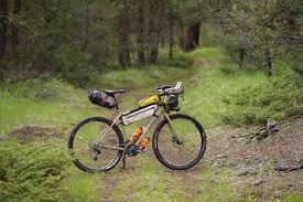 A business unit administrator (bu admin) at an institution is responsible for security requests, campus configuration changes, user preference setup and other items. Trek 920 Review Bikepacking Com