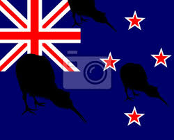 Download and use neuseeland flagge stock photos for free. Kiwi Vogel Silhouette Flagge Neuseeland Fototapete Fototapeten Sudinsel Auckland Wellington Myloview De