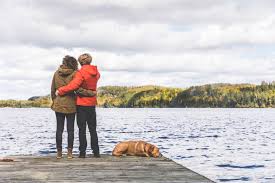 When you submit your application, you are applying to adopt from dog tales rescue and sanctuary, and not for a specific dog. Getting An Emotional Support Animal In Ontario Canada Certapet