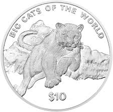 Image result for Moondust Silver 2001 Puma